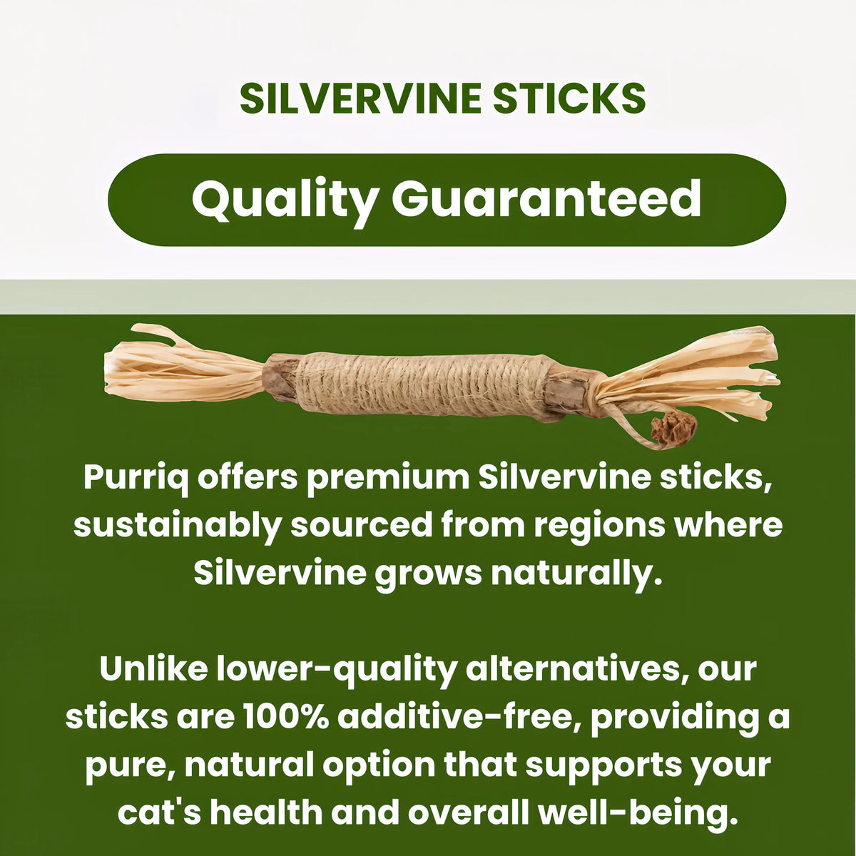 Natural Silvervine Dental Sticks