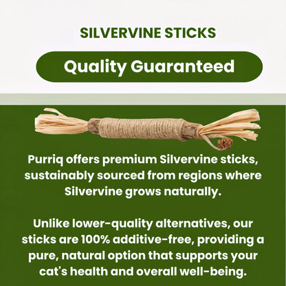 Natural Silvervine Dental Sticks